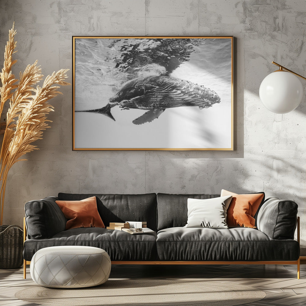 Humpback whale calf | Poster