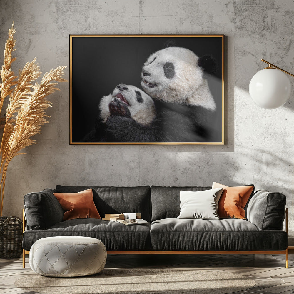 Pandas | Canvas