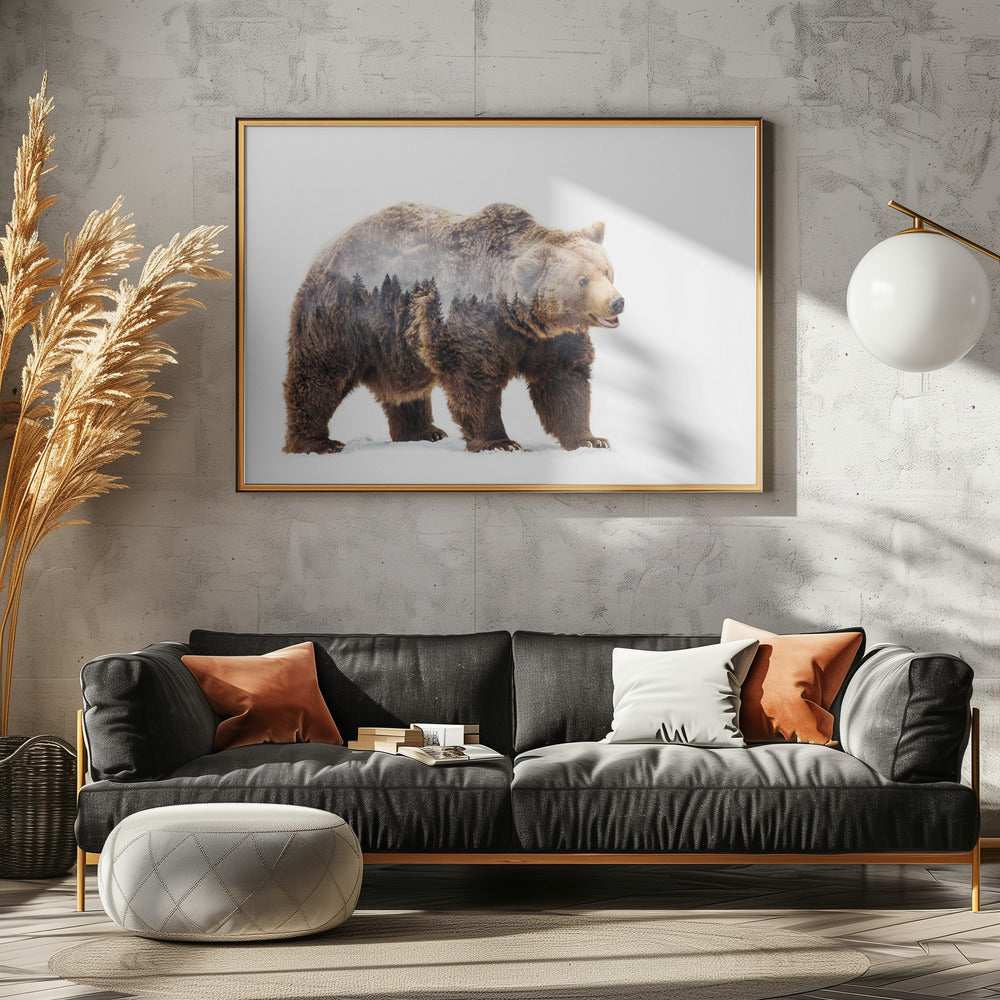 Bear | Canvas