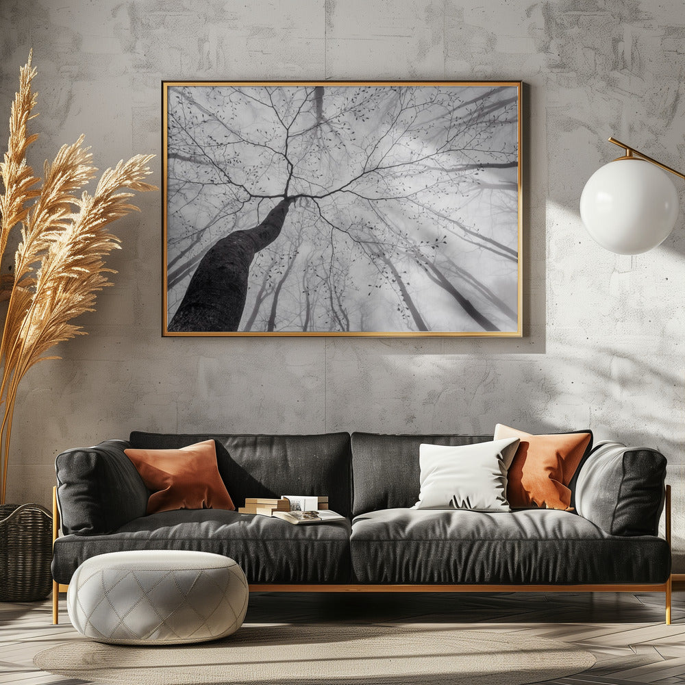 A view of the tree crown | Canvas