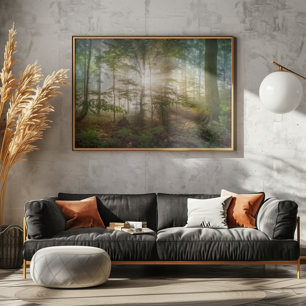 morning sun | Canvas