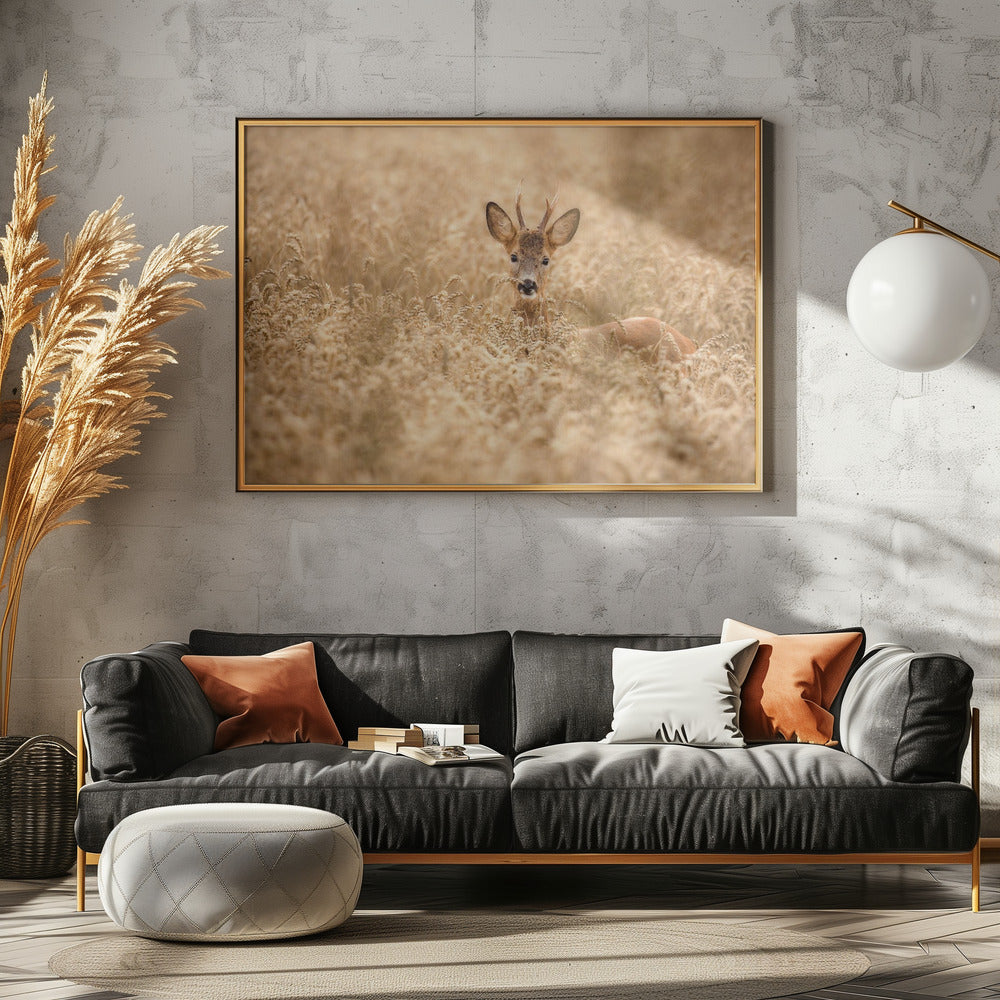 Deer in the field | Poster