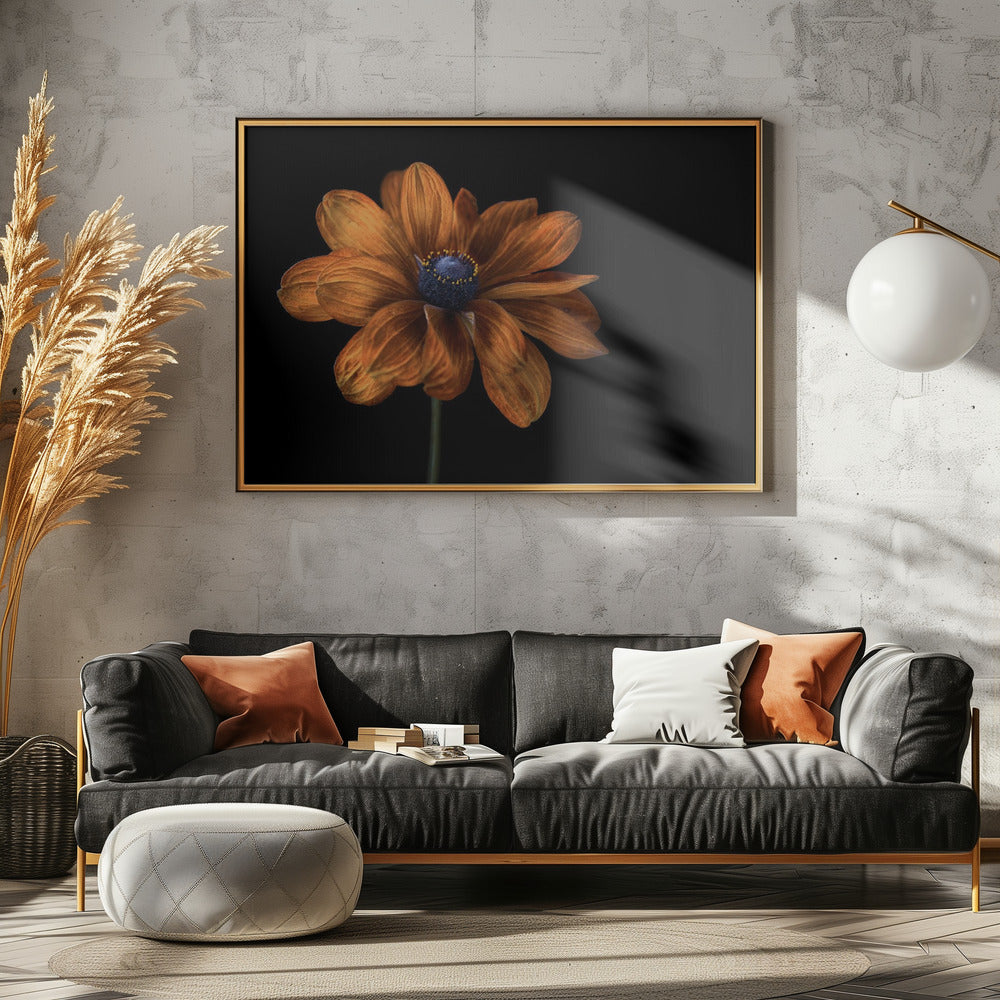 Rudbeckia | Poster