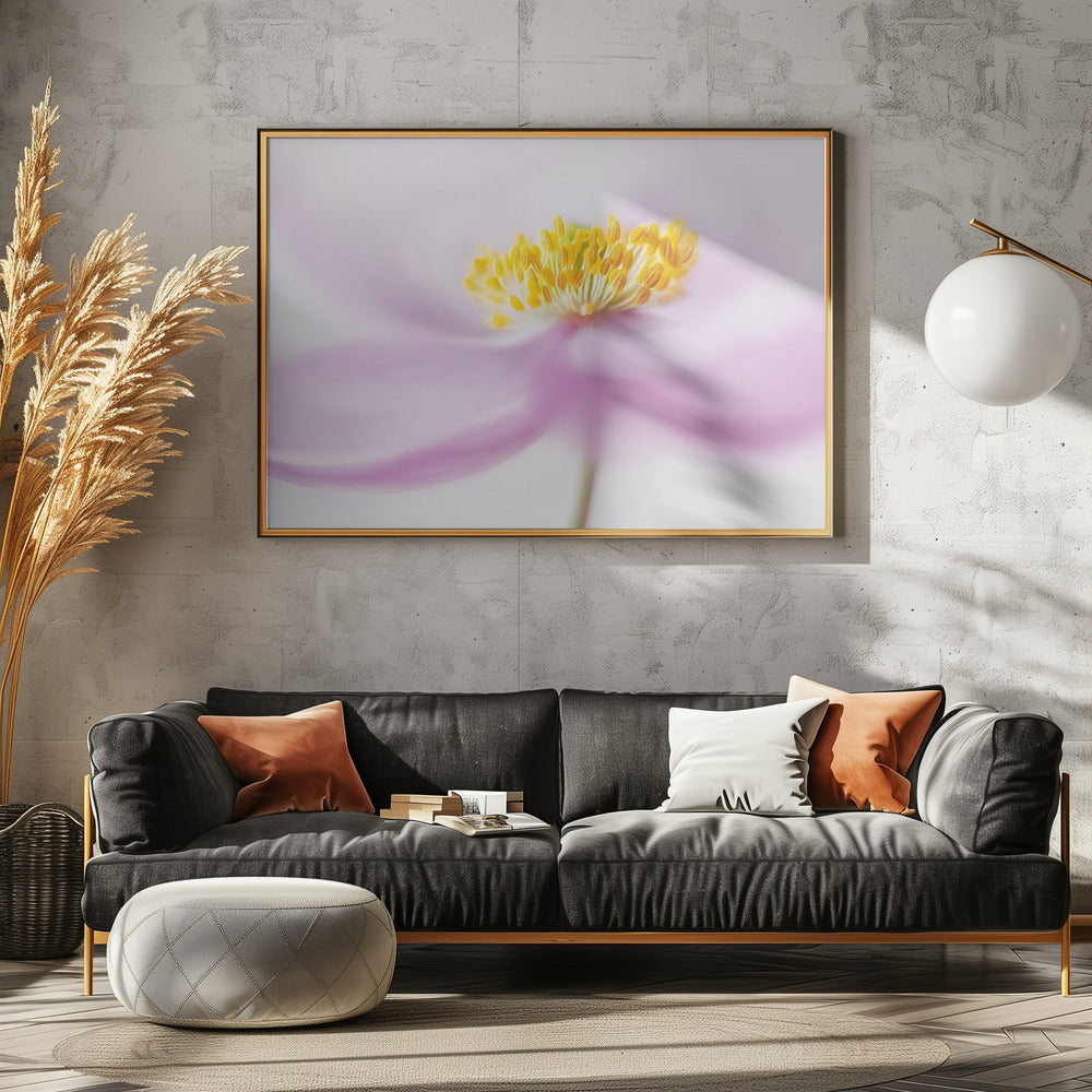 *Anemone* | Canvas