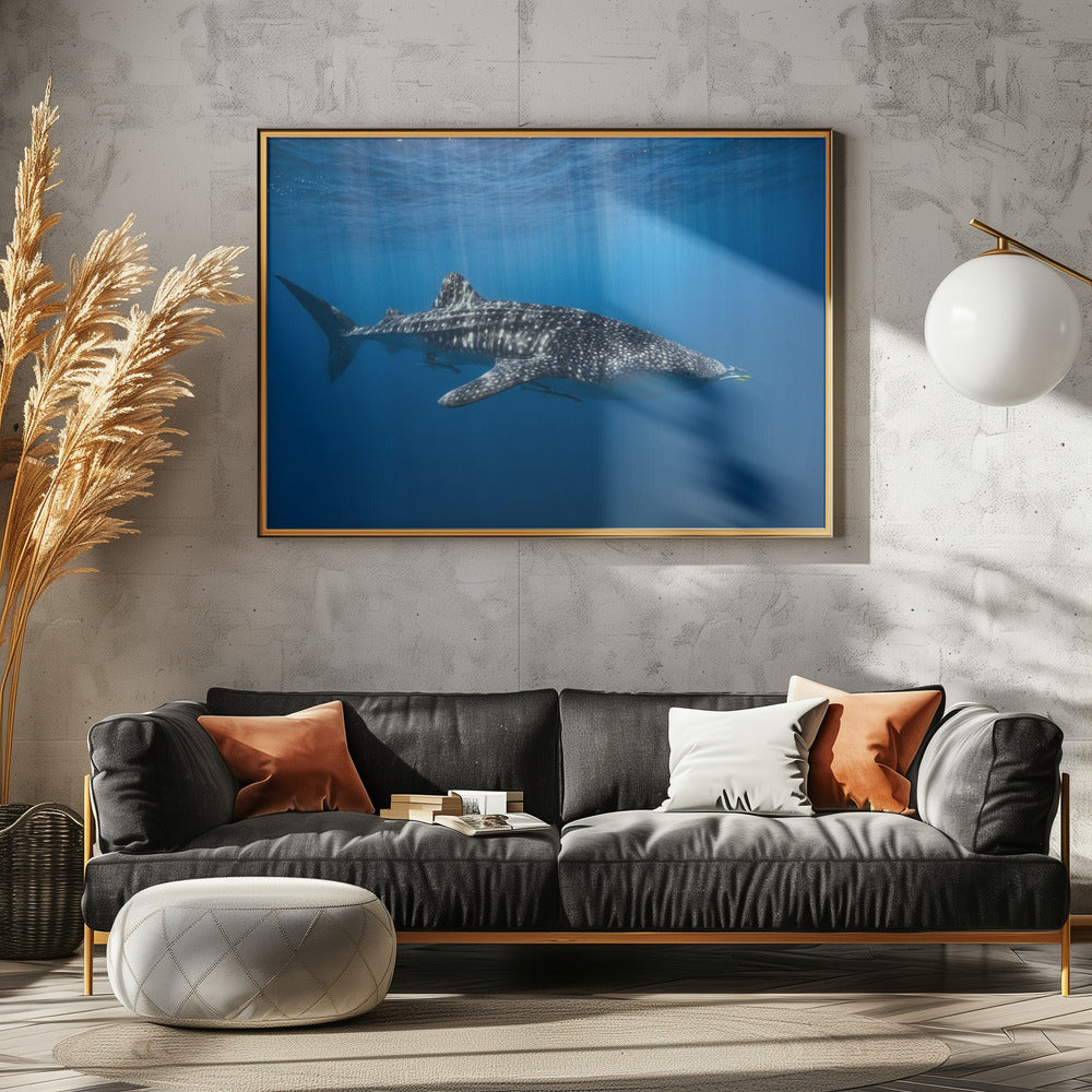 Whale shark in the blue | Canvas