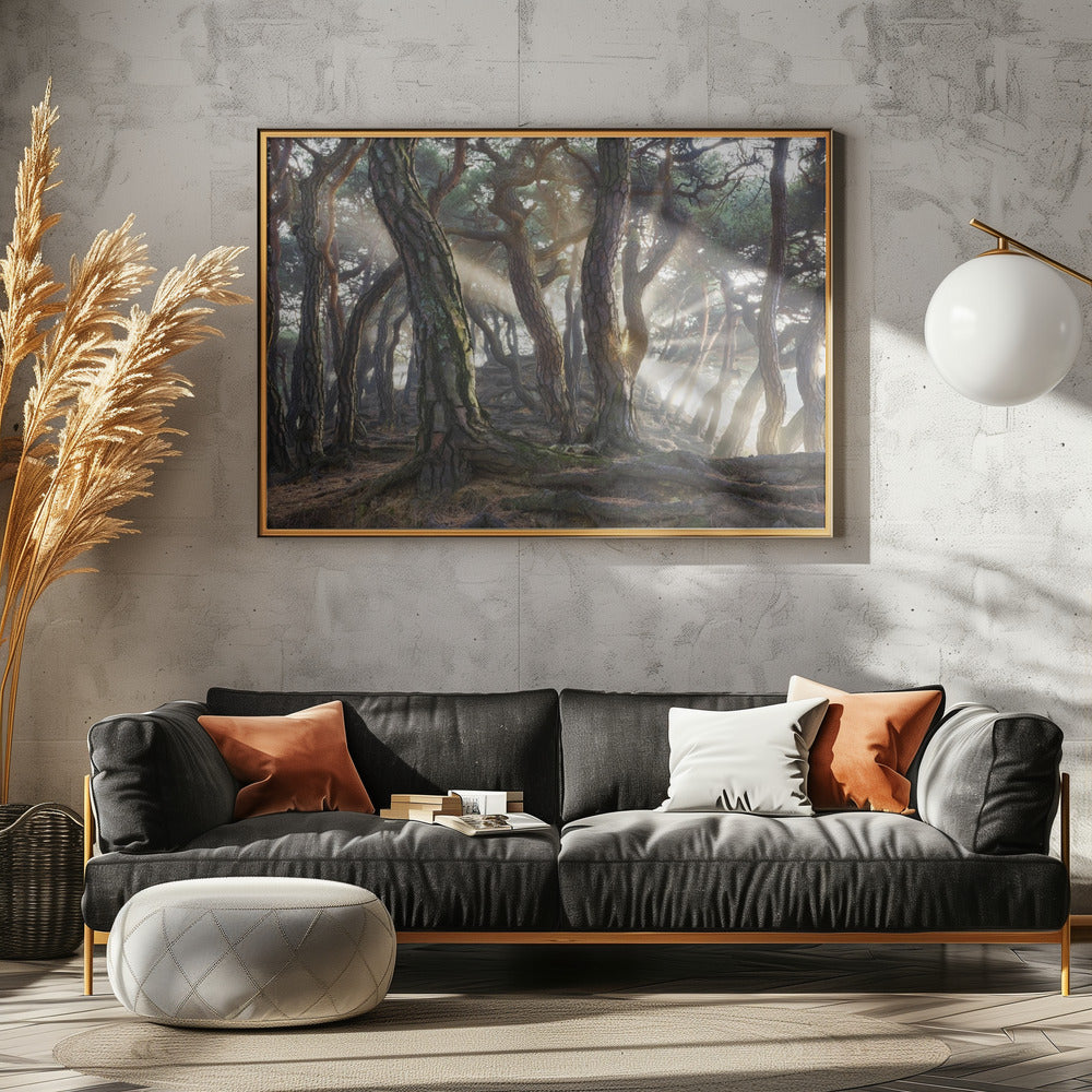 Sacred Pine Trees | Canvas