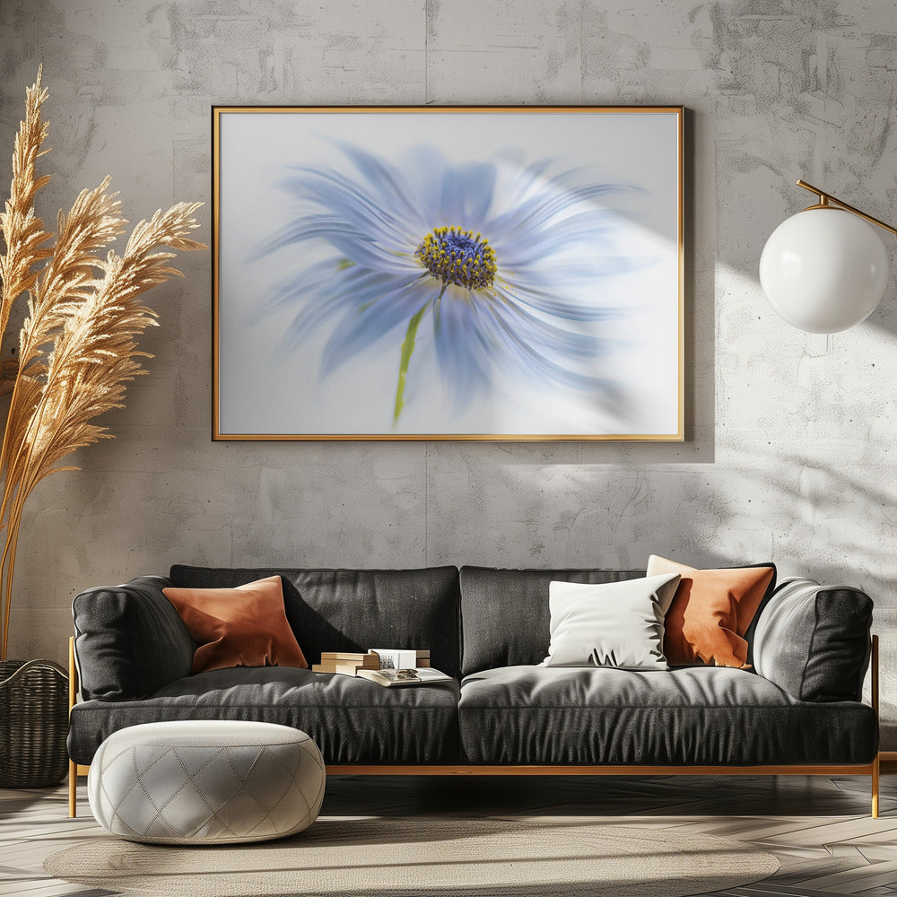 Daisy delight | Canvas