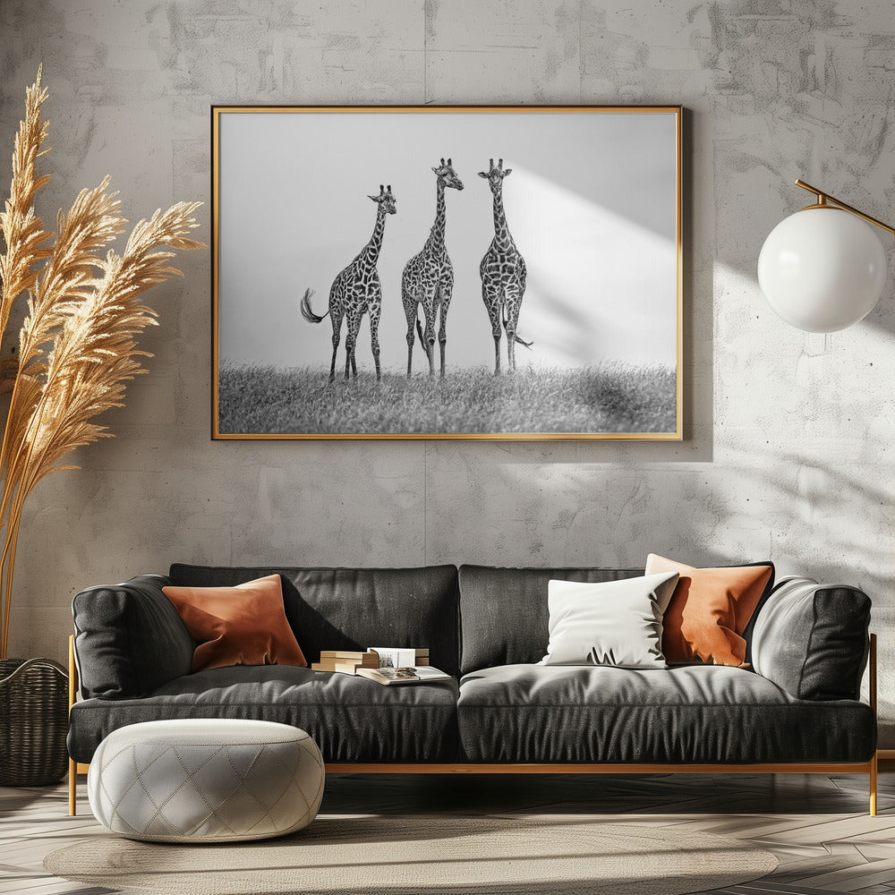 Giraffes in the  Mara plains | Canvas