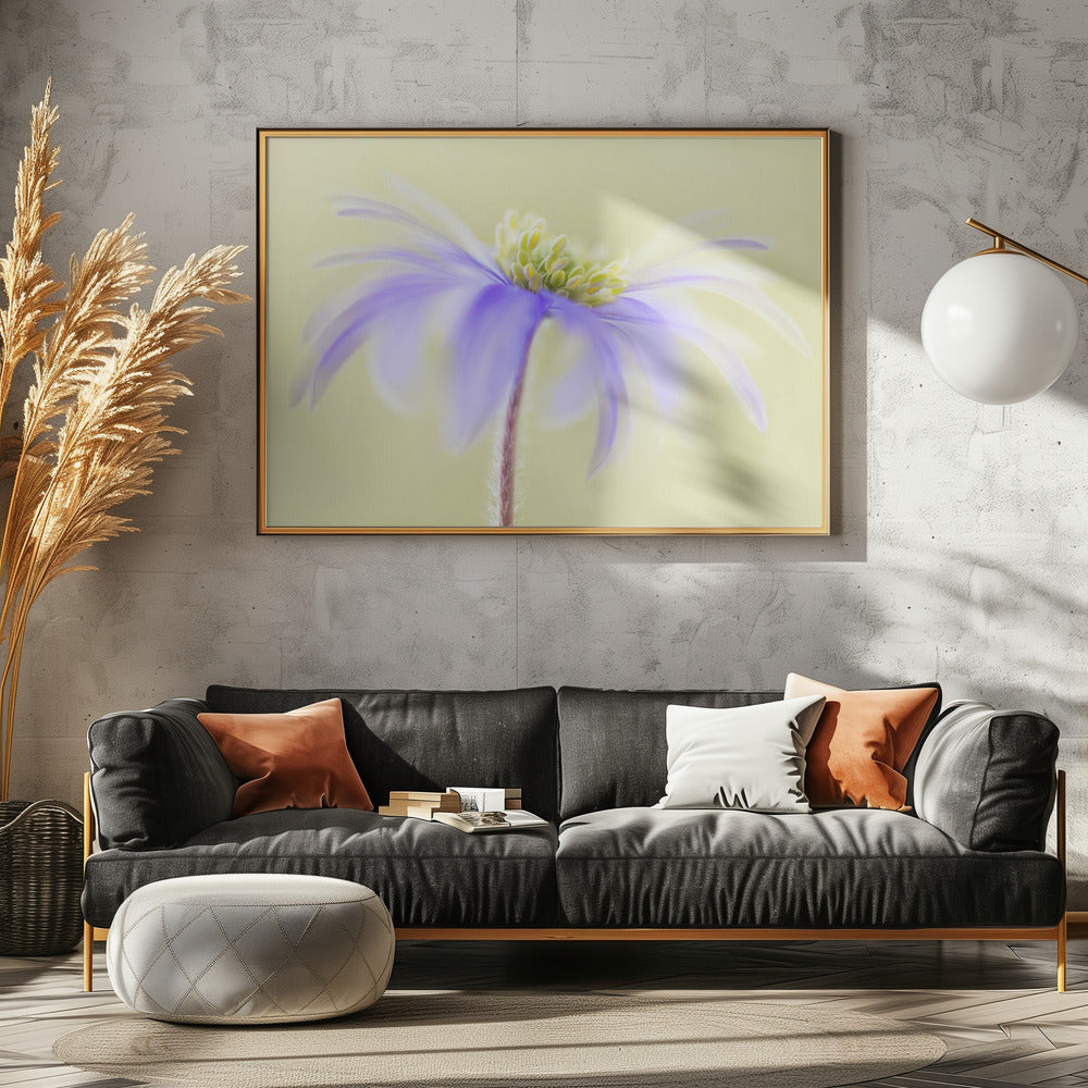 Anemone Blanda | Canvas