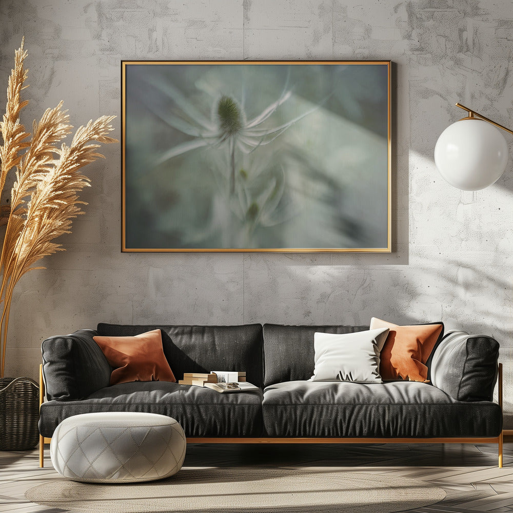 Teasel | Canvas