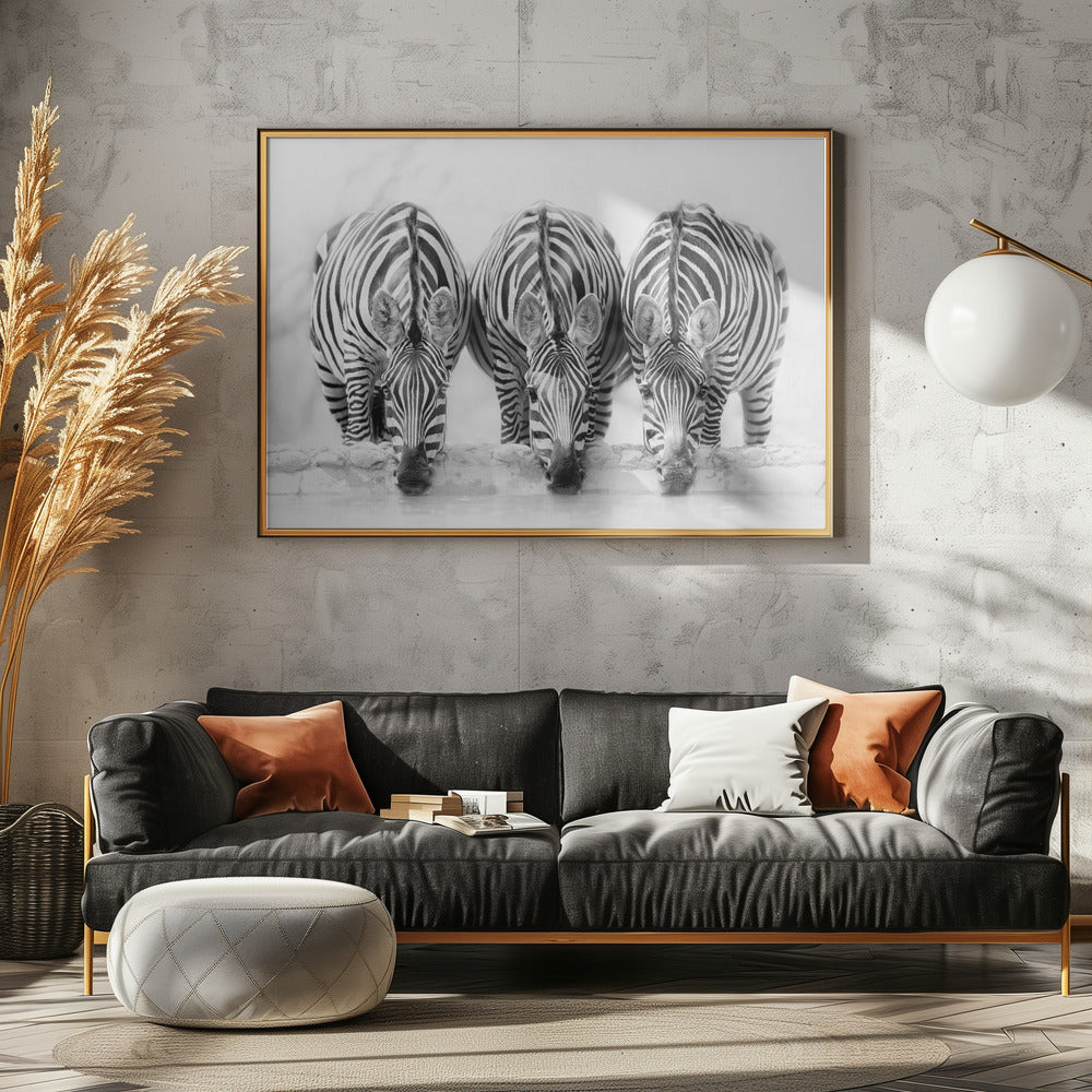 Zebras | Canvas