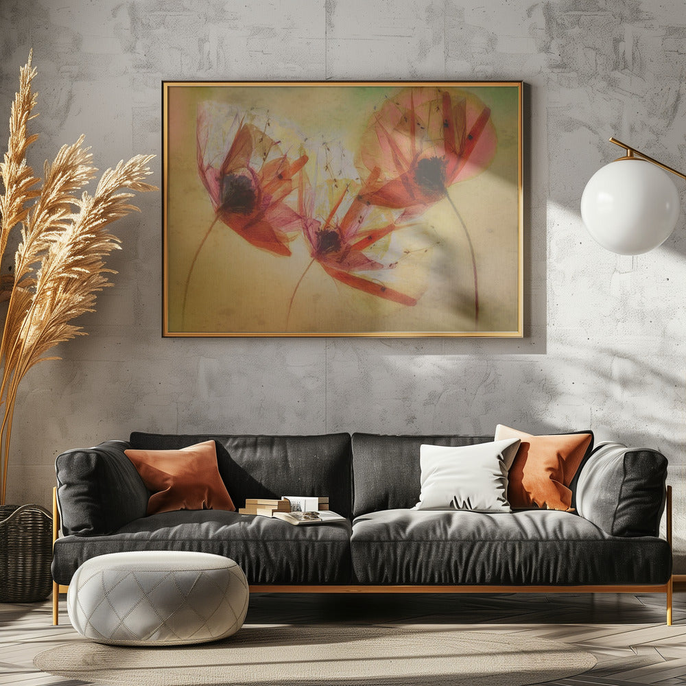 Poppy seeds | Canvas