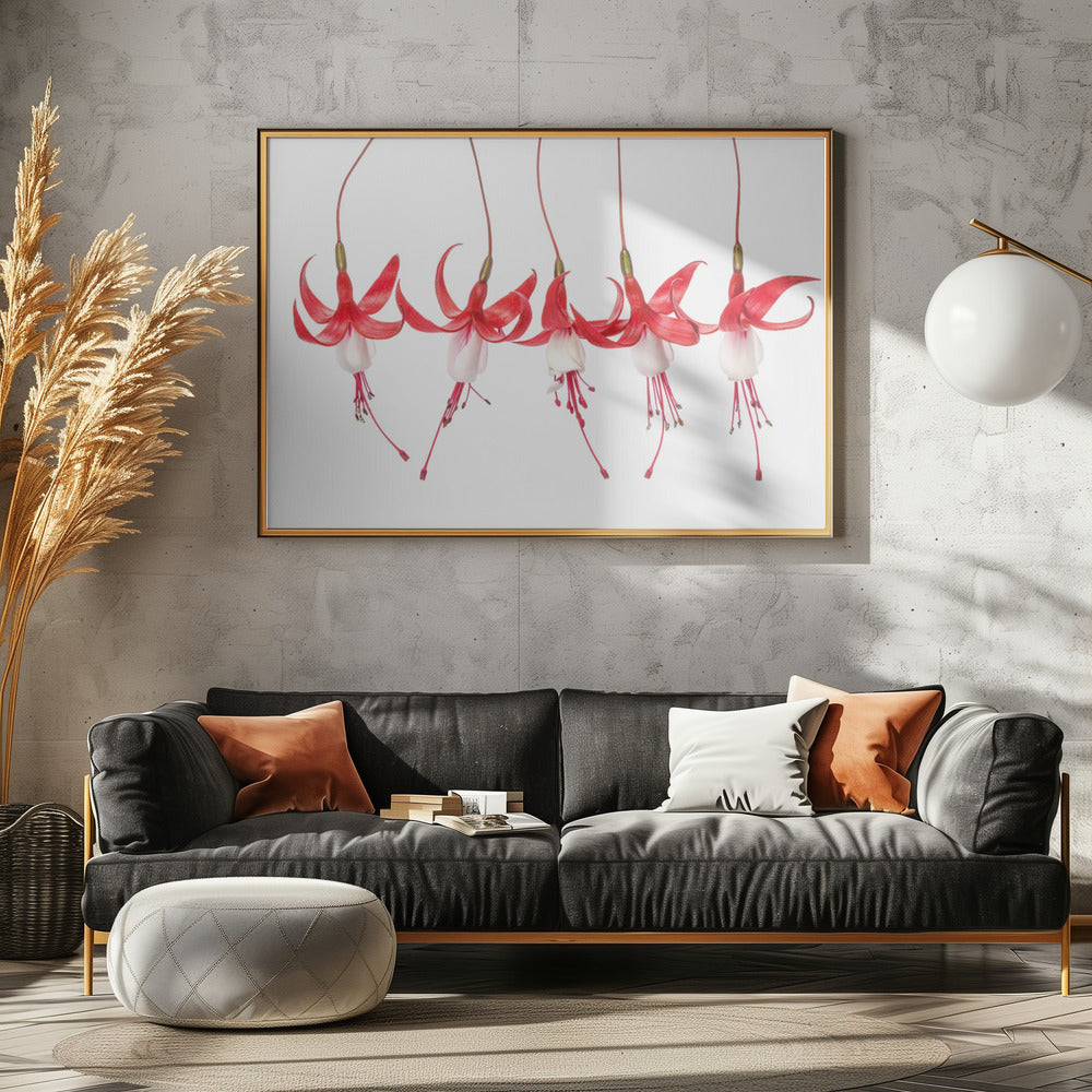 Fuchsia | Poster