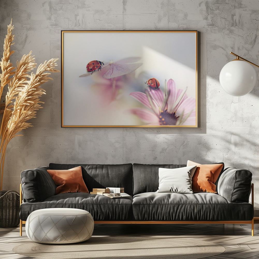 Last days of summer | Canvas