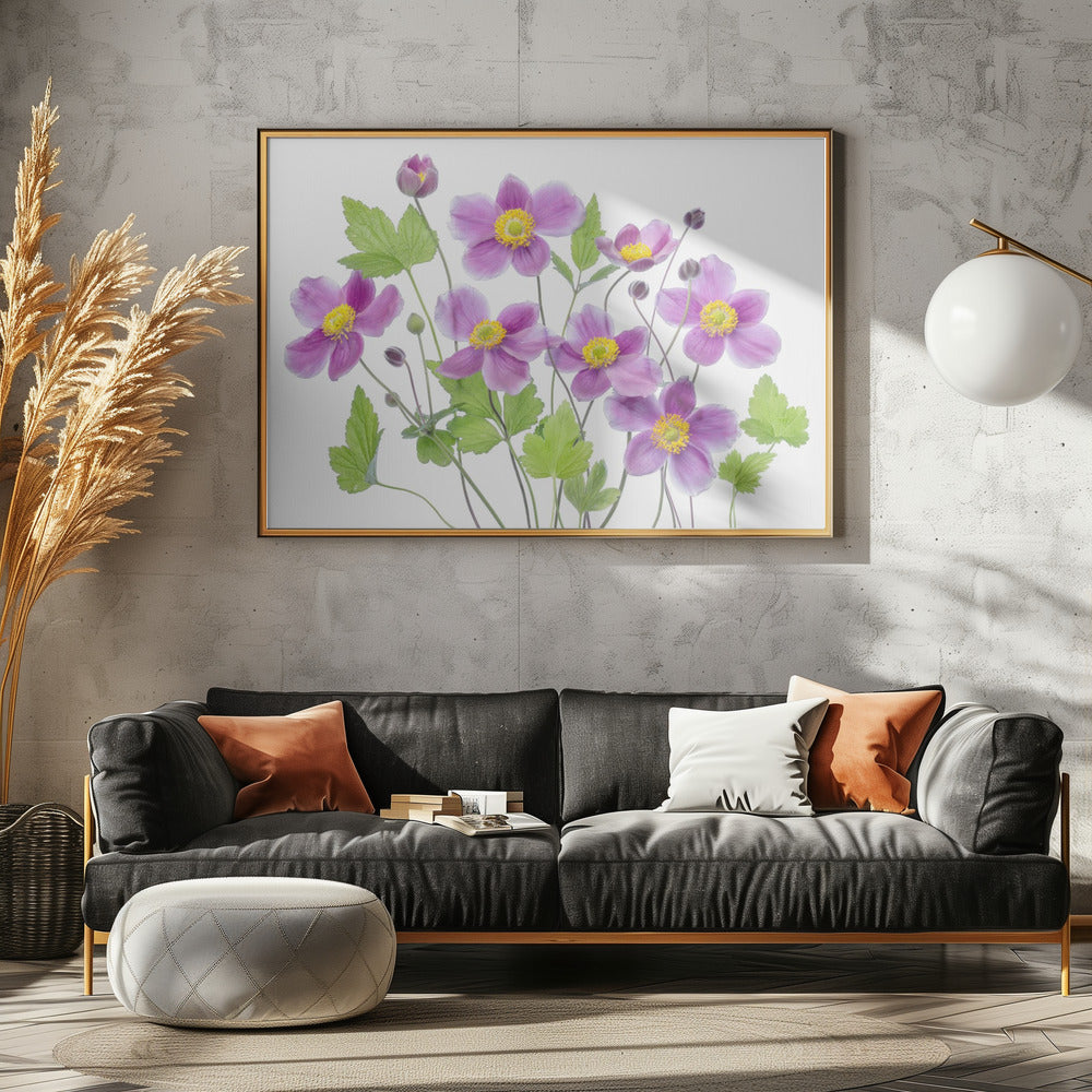 Anemone 'Hadspen Abundance' | Poster