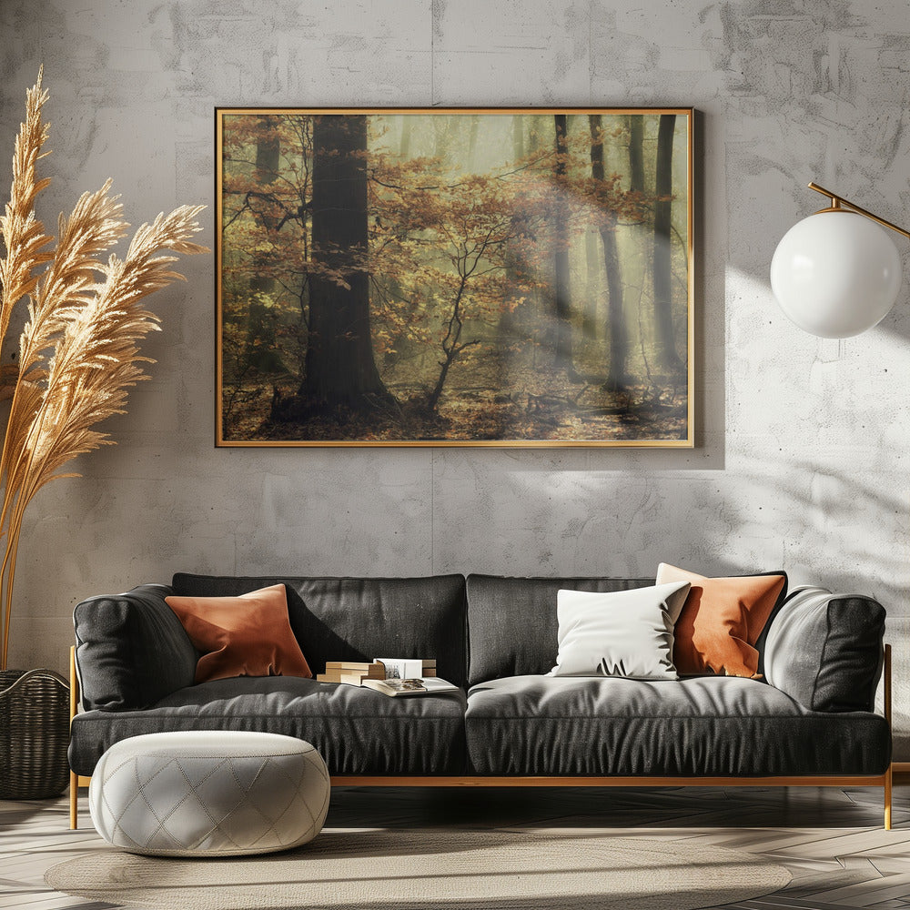 Soft fall | Canvas