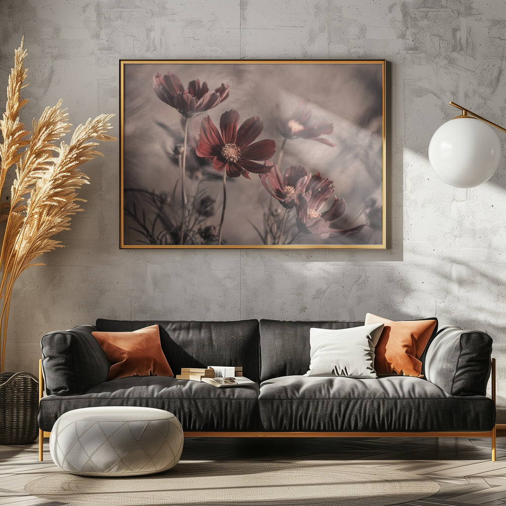 Cosmos 2019 | Canvas