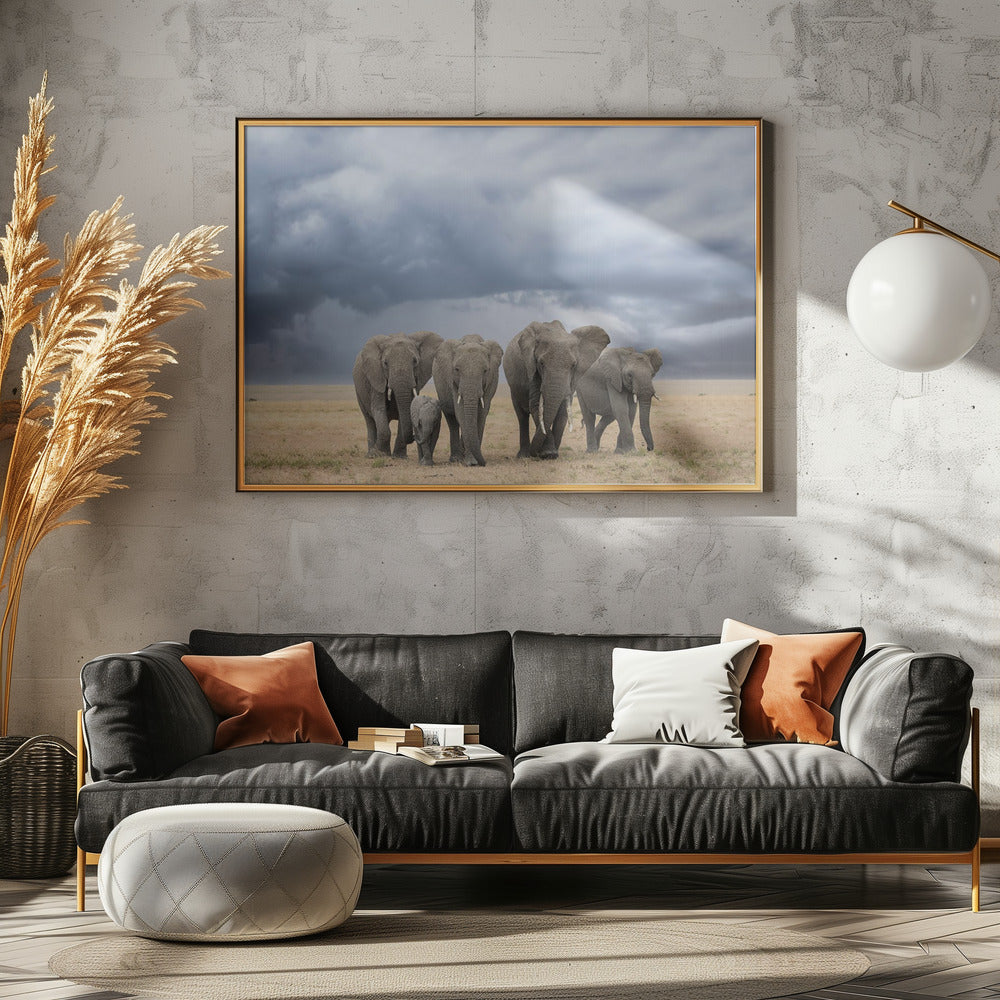 Elephant Walk | Canvas