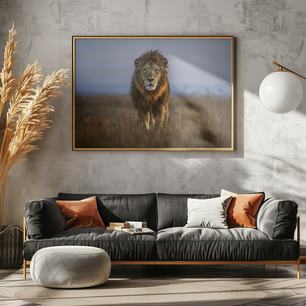 Lion Close Up | Canvas