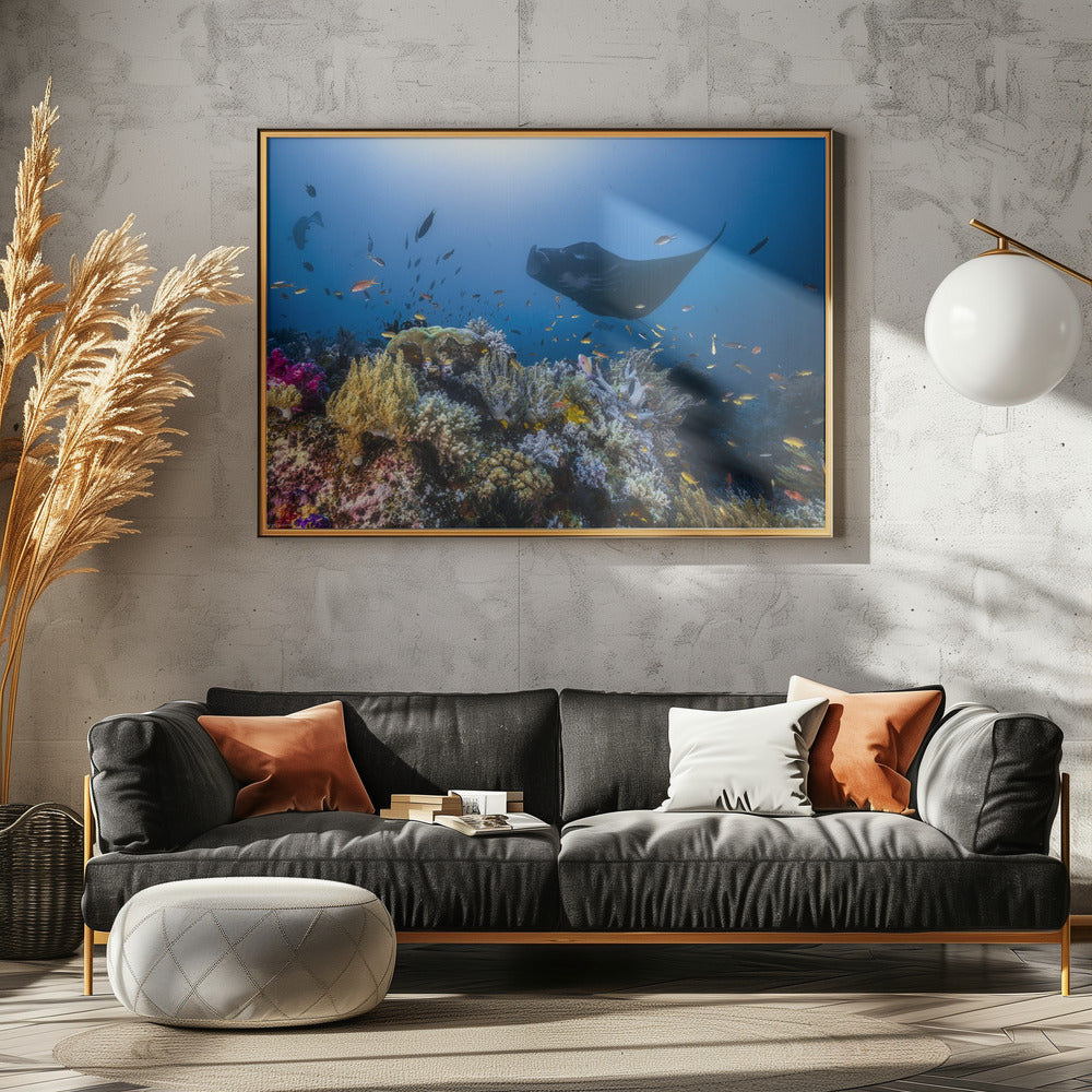 Manta reef on the reef | Canvas
