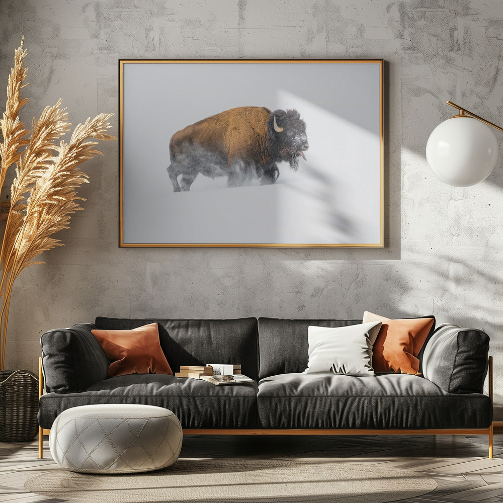 Bison in the Snow | Canvas
