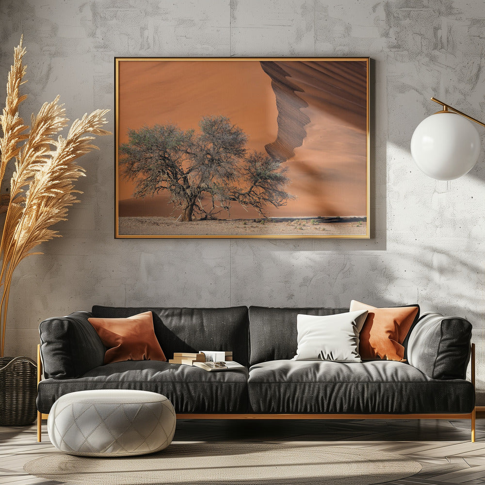 Acacia in the desert | Canvas