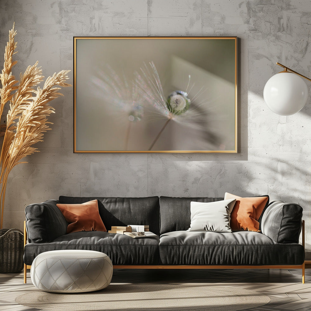 Star of dandelion | Poster