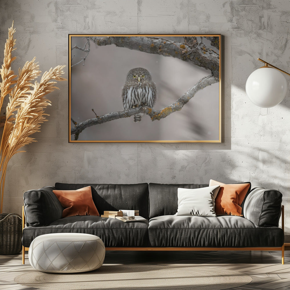 Little guy in the snow | Canvas