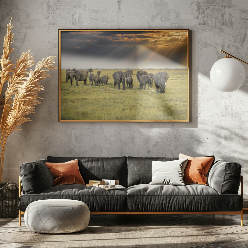 For the love of elephants | Canvas