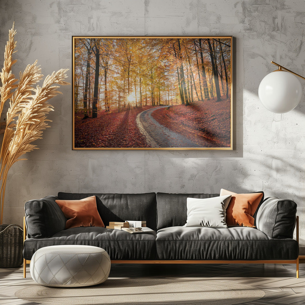 Road in SÃ¶derÃ¥sen nationalpark, Sweden | Canvas