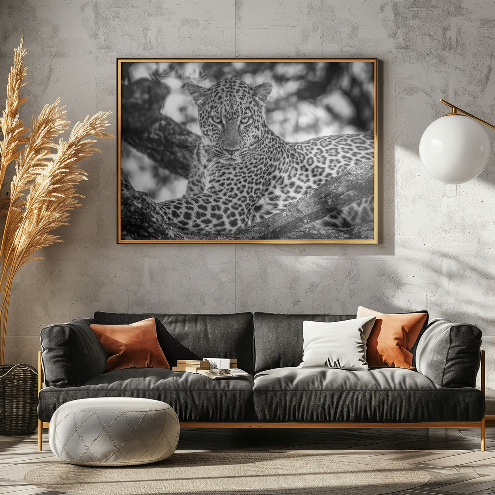 Monochrome beauty | Canvas