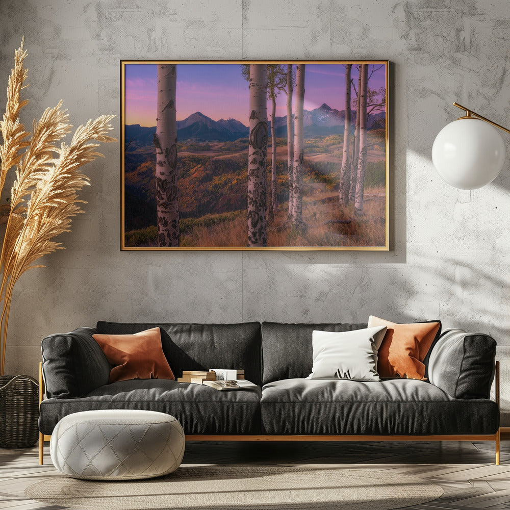 Aspen Frames | Canvas