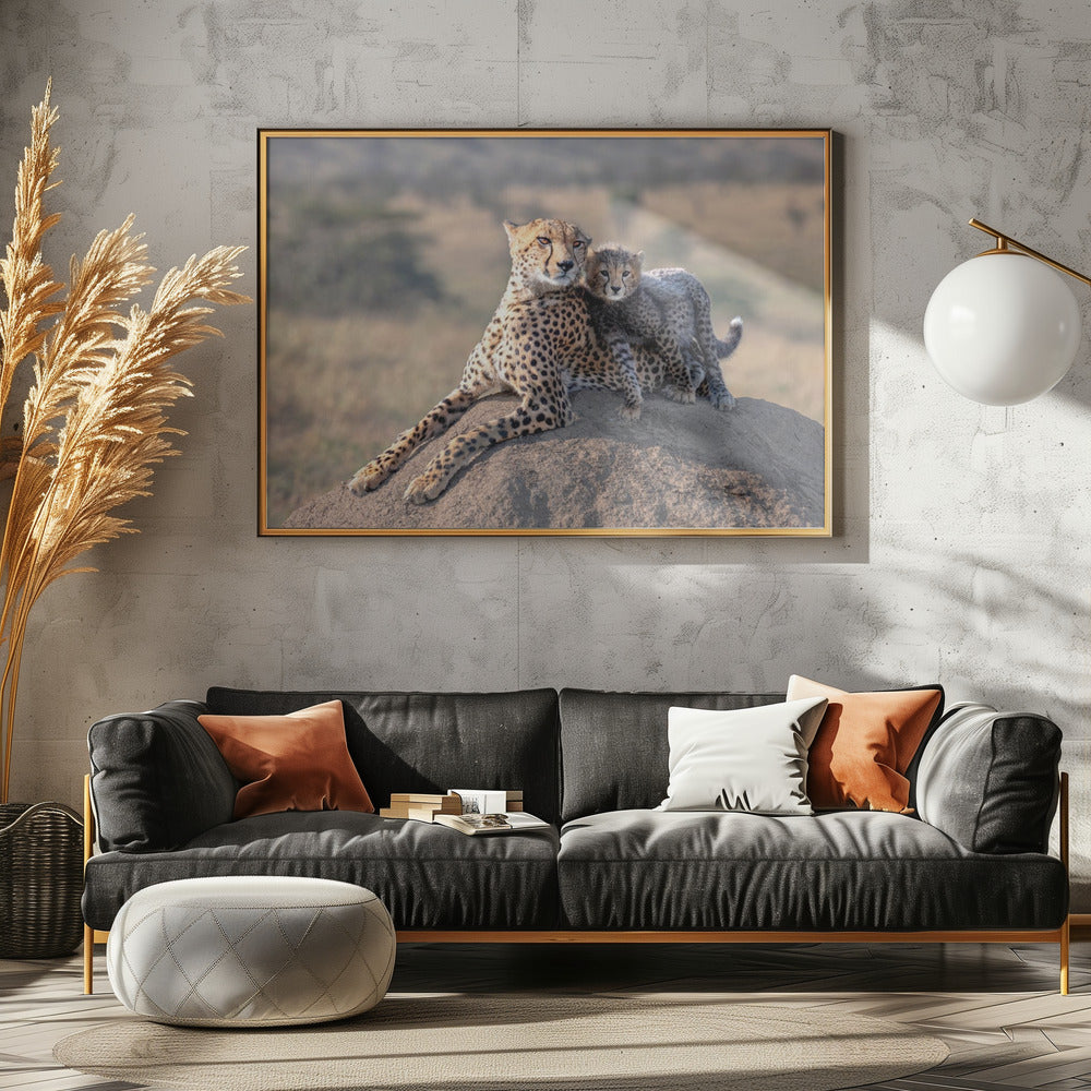 Cheetah and cup! | Canvas
