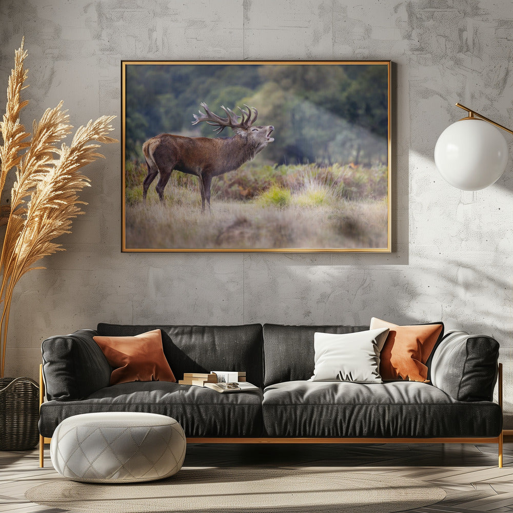 The scream of the deer | Poster