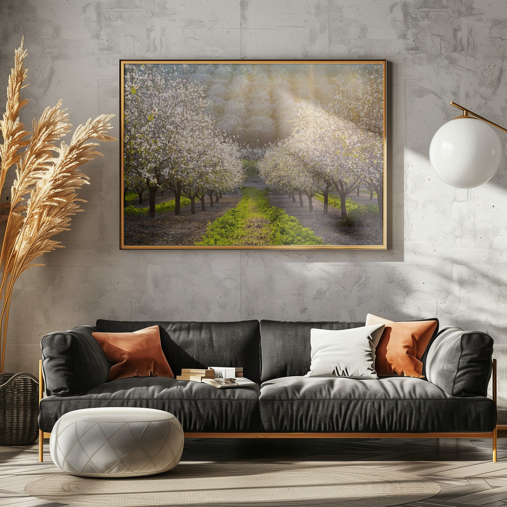 Golden Almonds | Poster