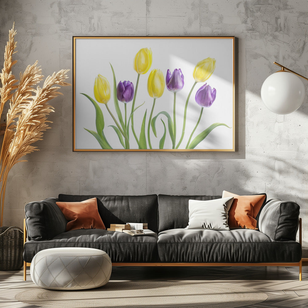 Tulip | Canvas