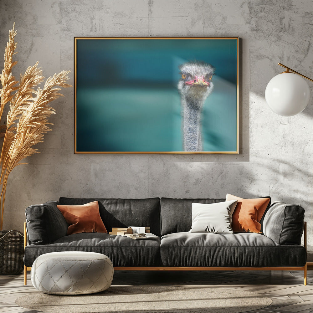 Ostrich Protecting two Poor Chicken from the Wind | Canvas