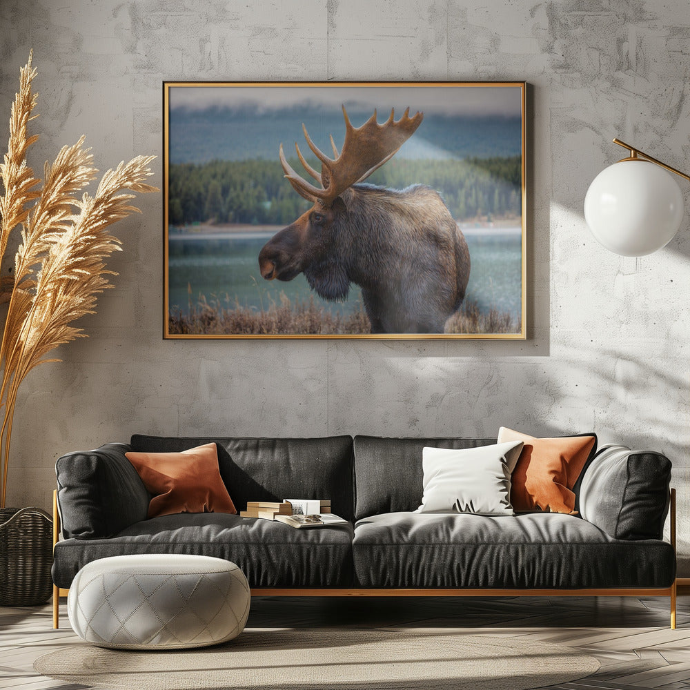 Moose | Poster