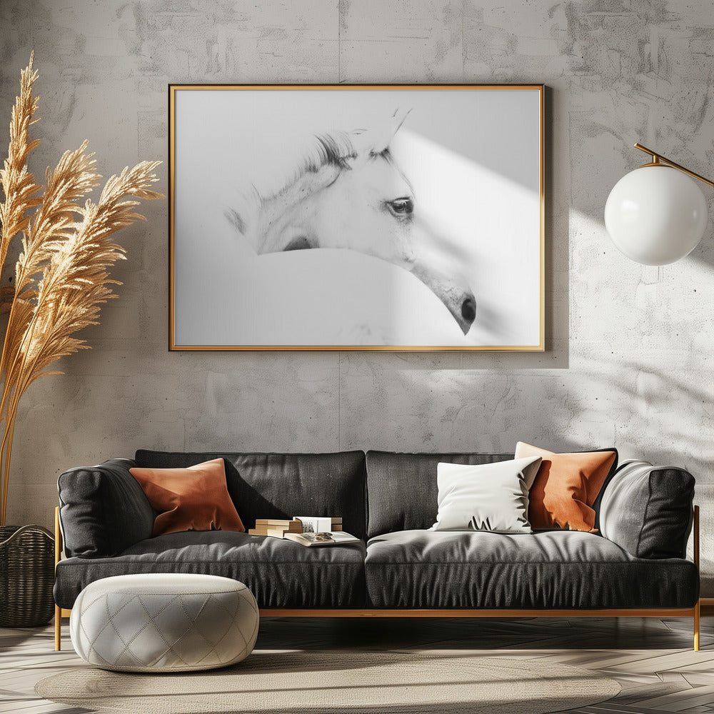 horse and minimalism | Poster