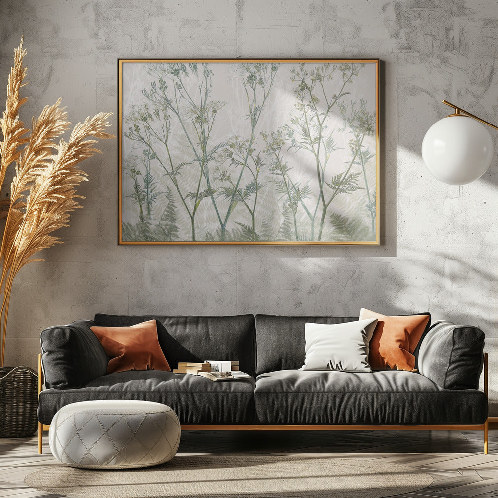 Cow parsley | Poster