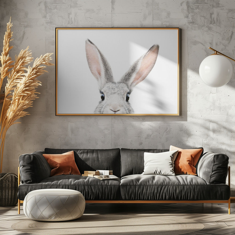Peeking Bunny | Canvas