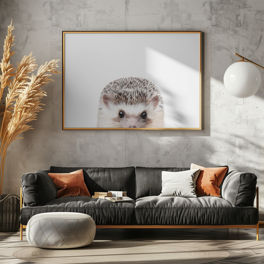 Peeking Hedgehog | Canvas