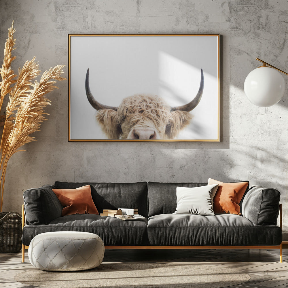 Peeking Cow | Poster
