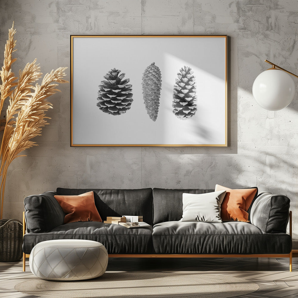 Pine Cone Study | Poster