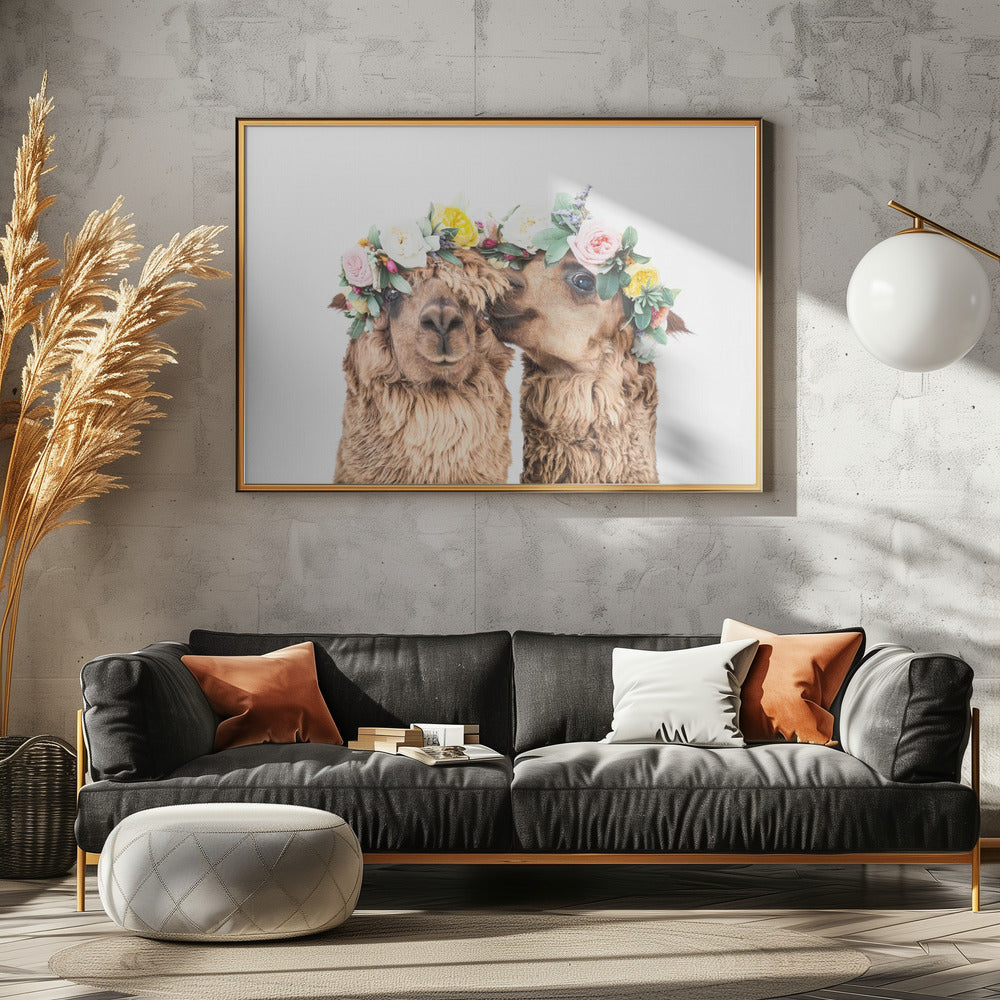Boho Alpacas | Canvas