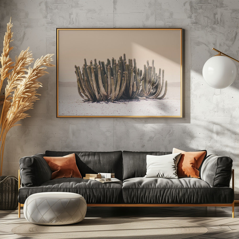 Peach Sky Cactus | Poster