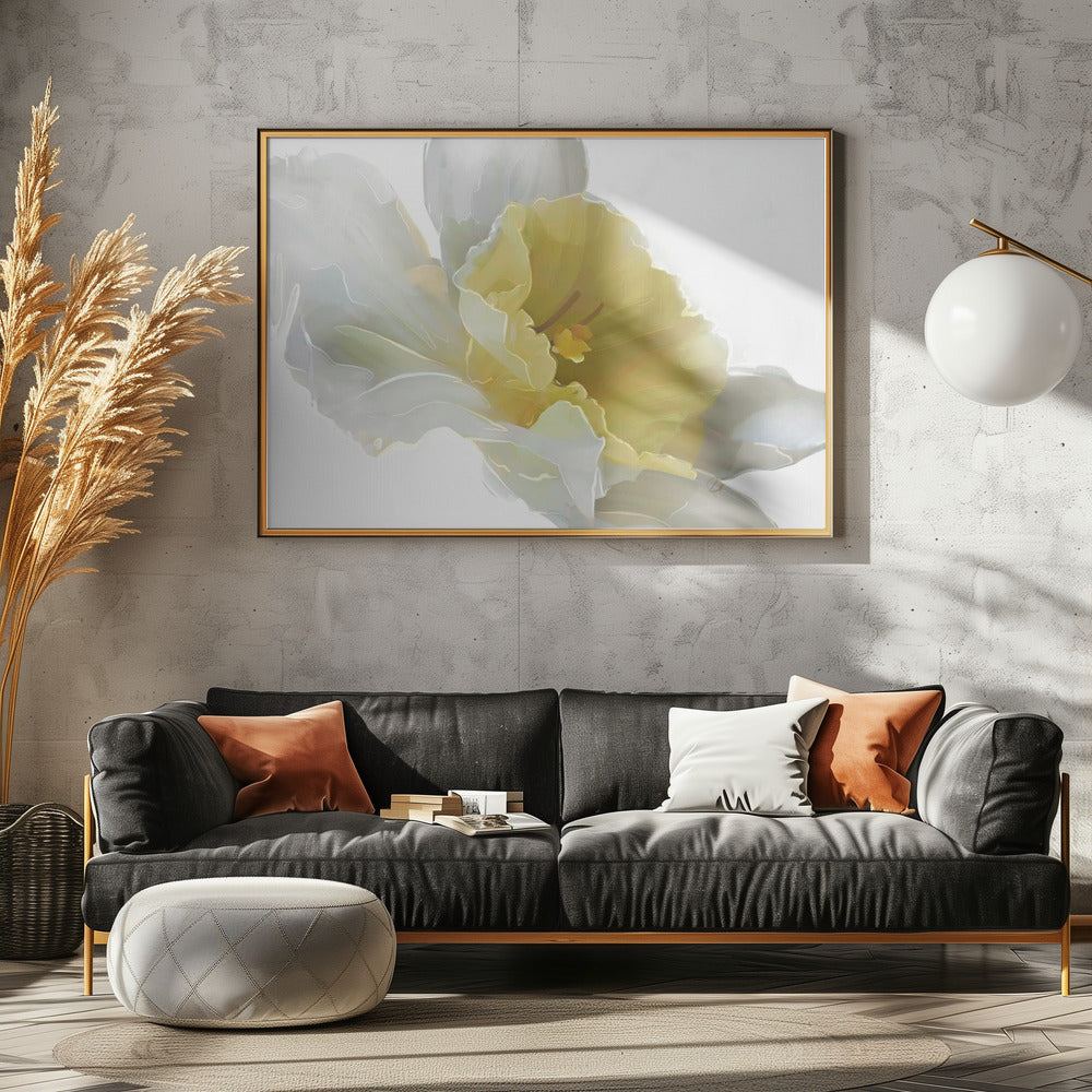 Daffodil | Canvas