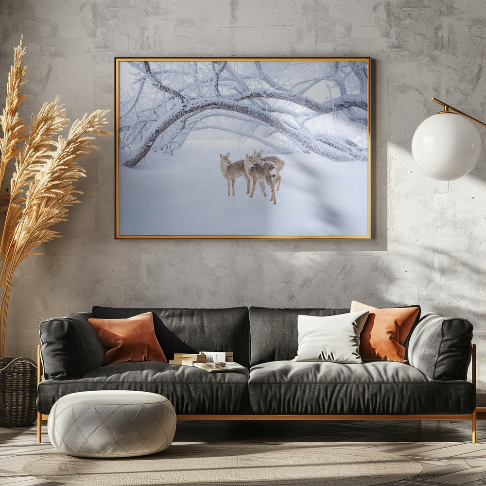 Deers' Walk in Snow | Poster