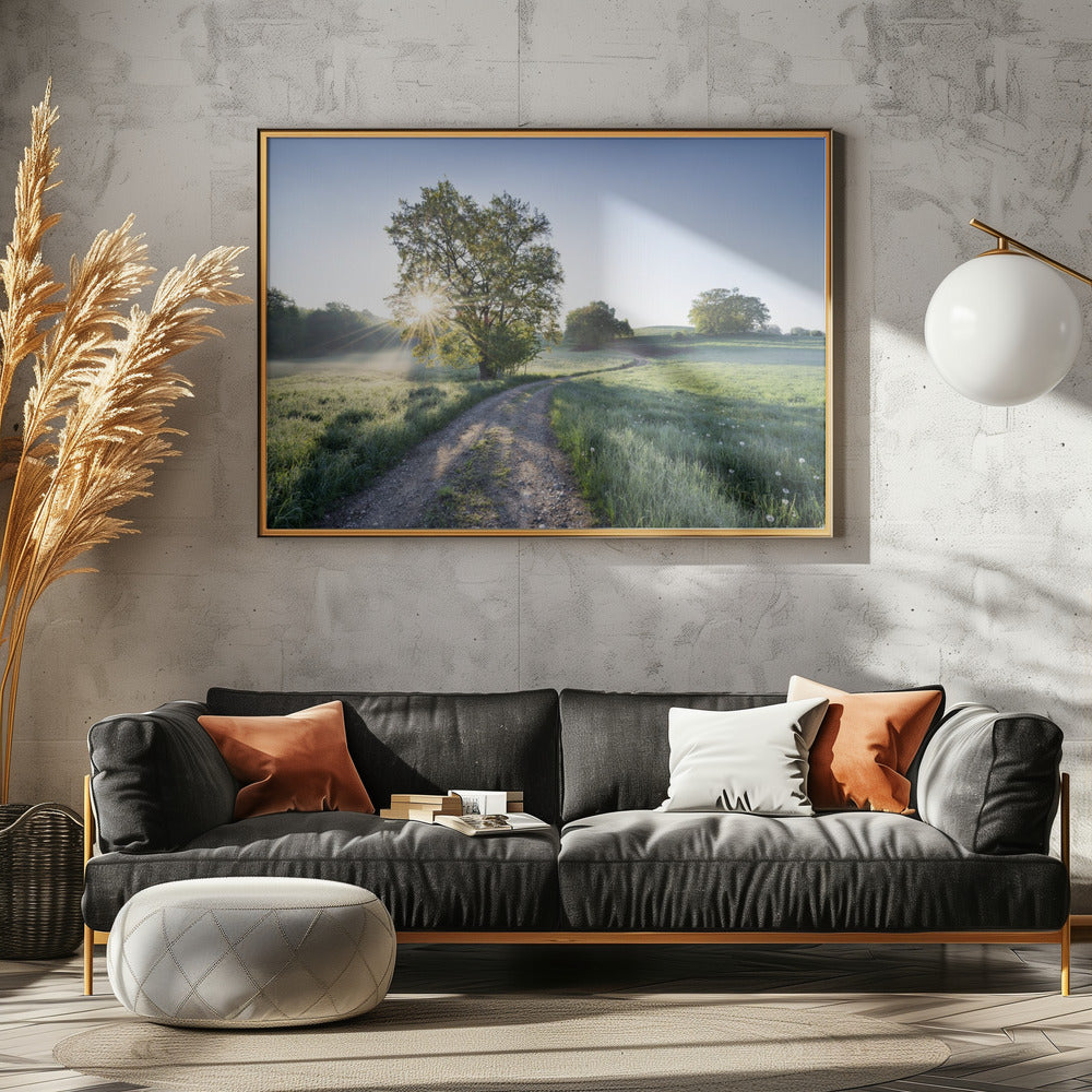 Spring Path | Canvas