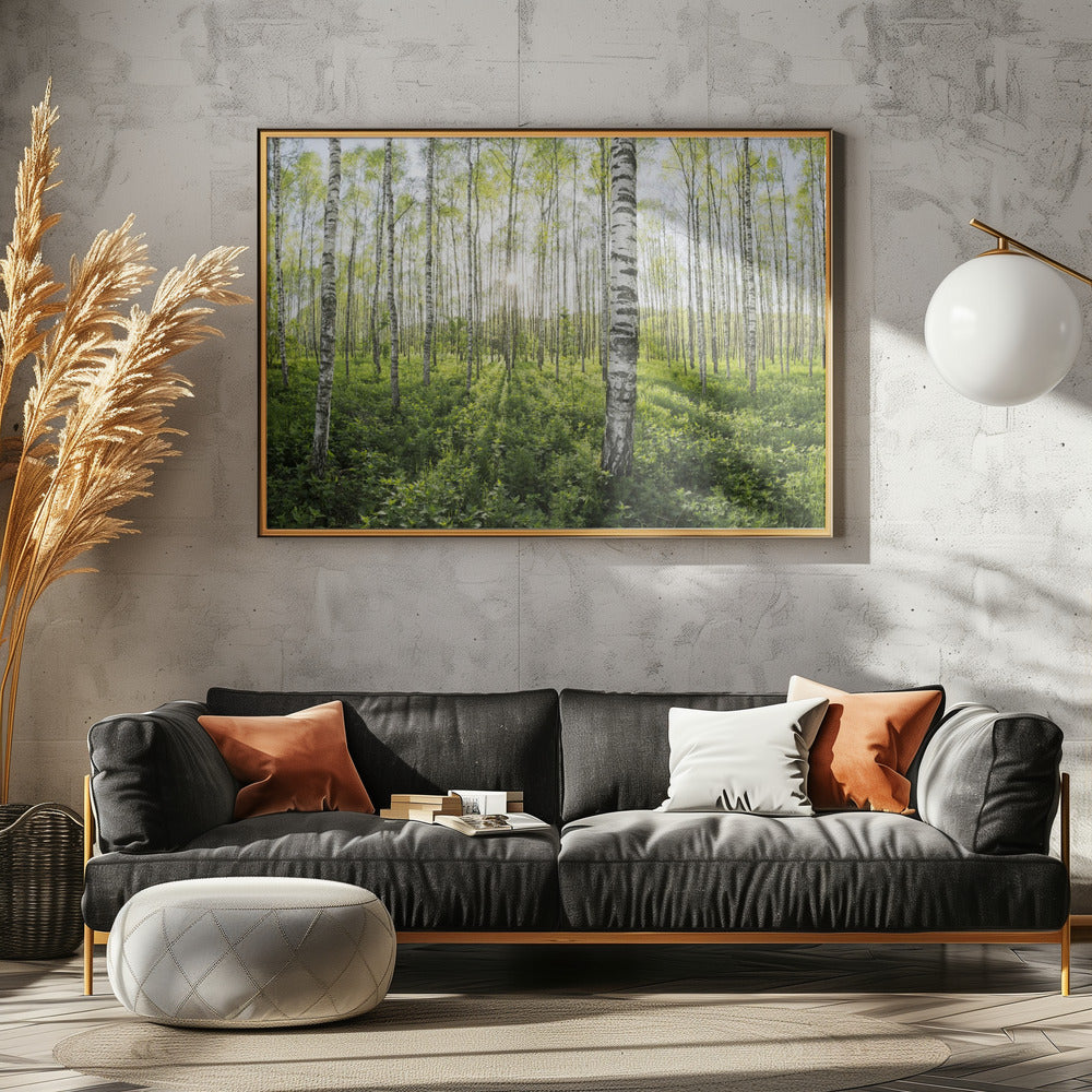 Spring in the Birch Forest | Canvas